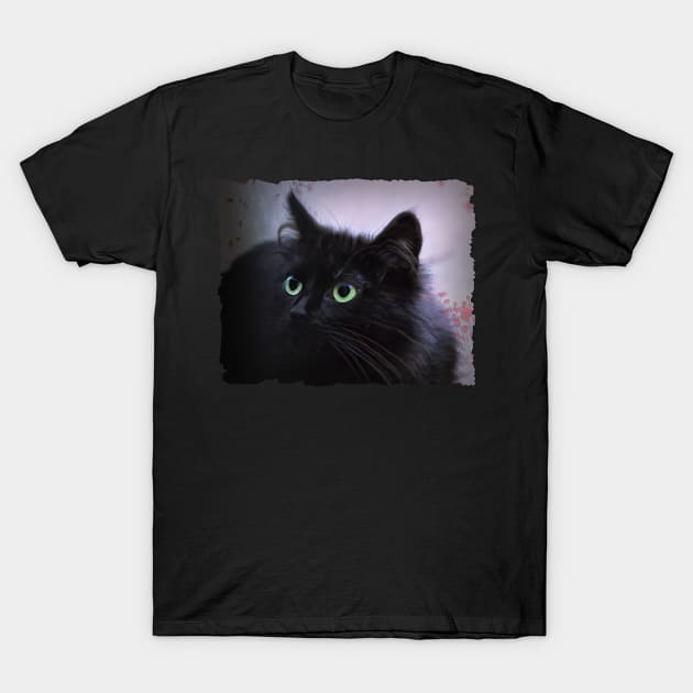 Black Cat Green Eyes T-Shirt by PhotoArts